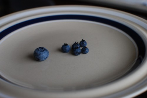 blueberries7
