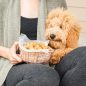Person holding basket of homemade dog treats with puppy on lap