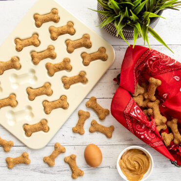 Baked dog treats in Puppy Love Treat Pan and treats on surface with ingredients and houseplant in background