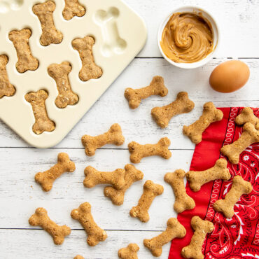 Overhead baked bone shaped dog treats on surface with red bandana and ingredients. Puppy Treat Pan with baked treats in background