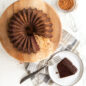 Chocolate Brilliance 5 Cup Bundt with cocoa powder and cut piece on plate with fork.
