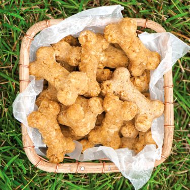 Visit Peanut Butter Doggie Biscuits Recipe
