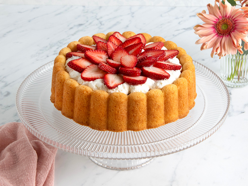 Charlotte Cake topped with strawberries and whipped cream