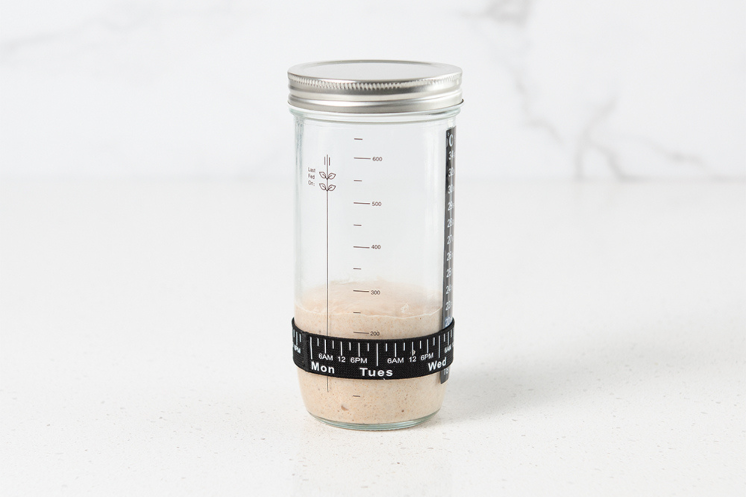 Glass Starter Jar with Temp Strip and Tracker Band