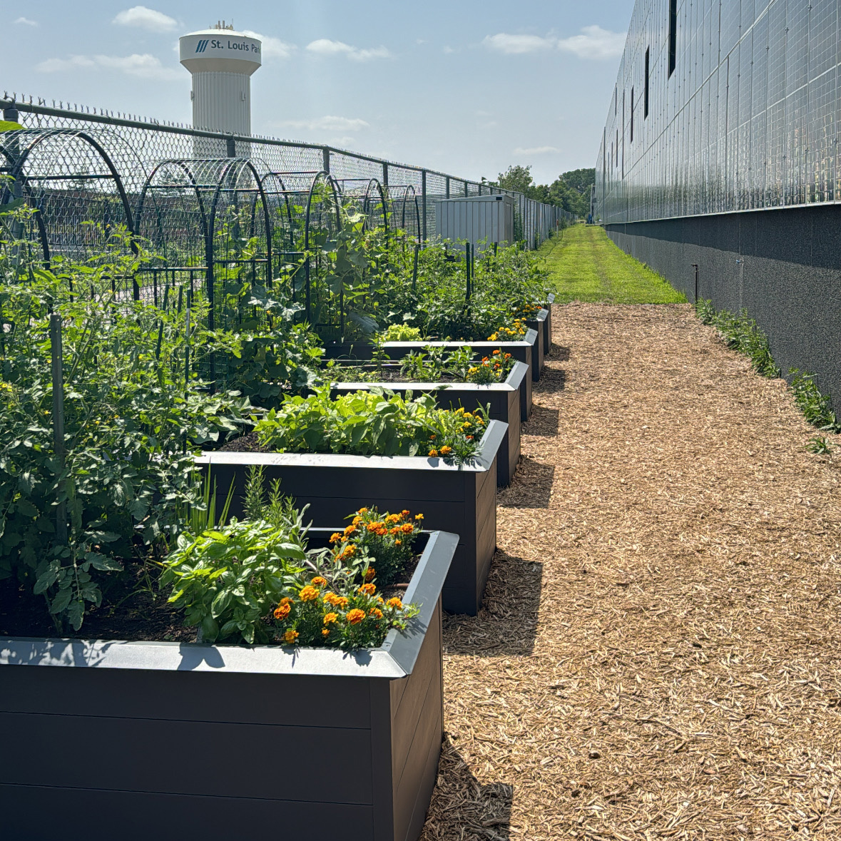 Image of Nordic Ware community garden along factory