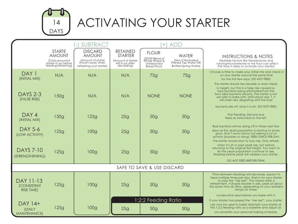 14 day calendar table depicting 14 days of starting a starter from scratch.